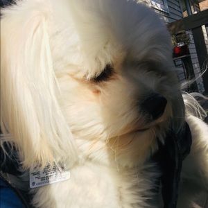 Meet your Posher, Haley